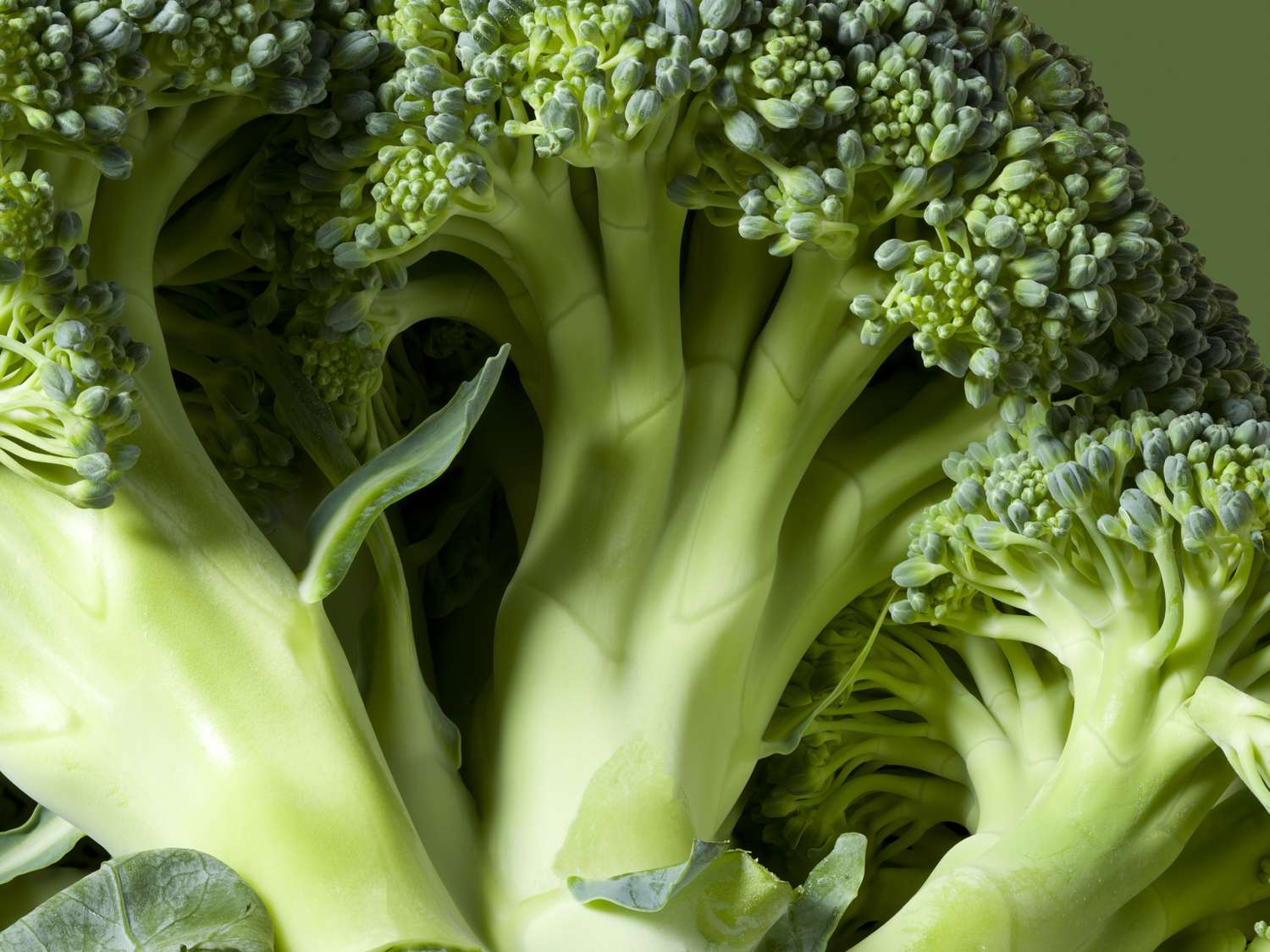 13 ‘Power’ Vegetables Health Experts Say You Should Eat More Of