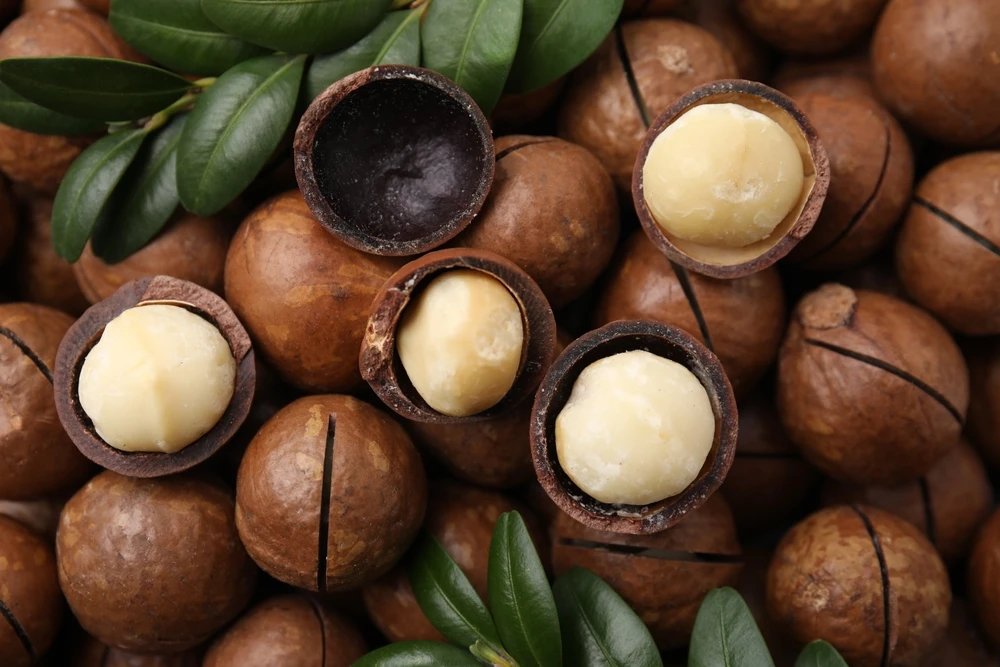 Macadamia nuts lower LDL.(Shutterstock) Macadamia nuts lower LDL.(Shutterstock)