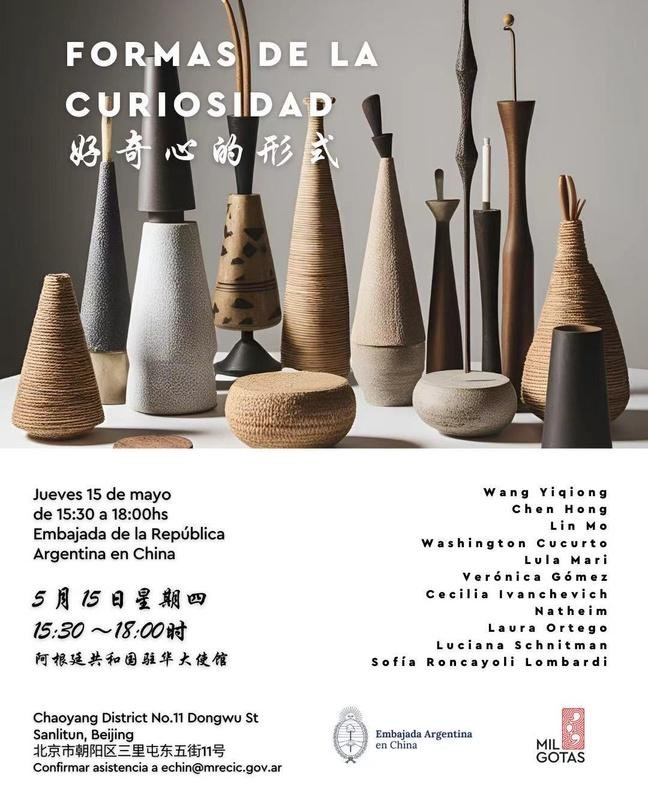 Forms of Curiosity: Art Exhibition at the Embassy of Argentina
