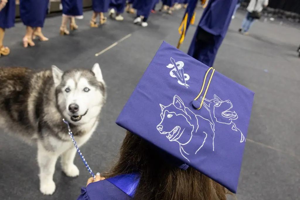 Grad cap with Jonathan XIV and XV outlined on it with Jonathan XIV in the background