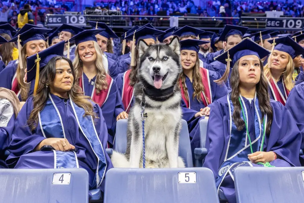 Jonathan XV greets graduates at the UConn School of Business' Commencement ceremony in Gampel Pavilion on Saturday, May 10, 2025. (Sydney Herdle/UConn Photo)