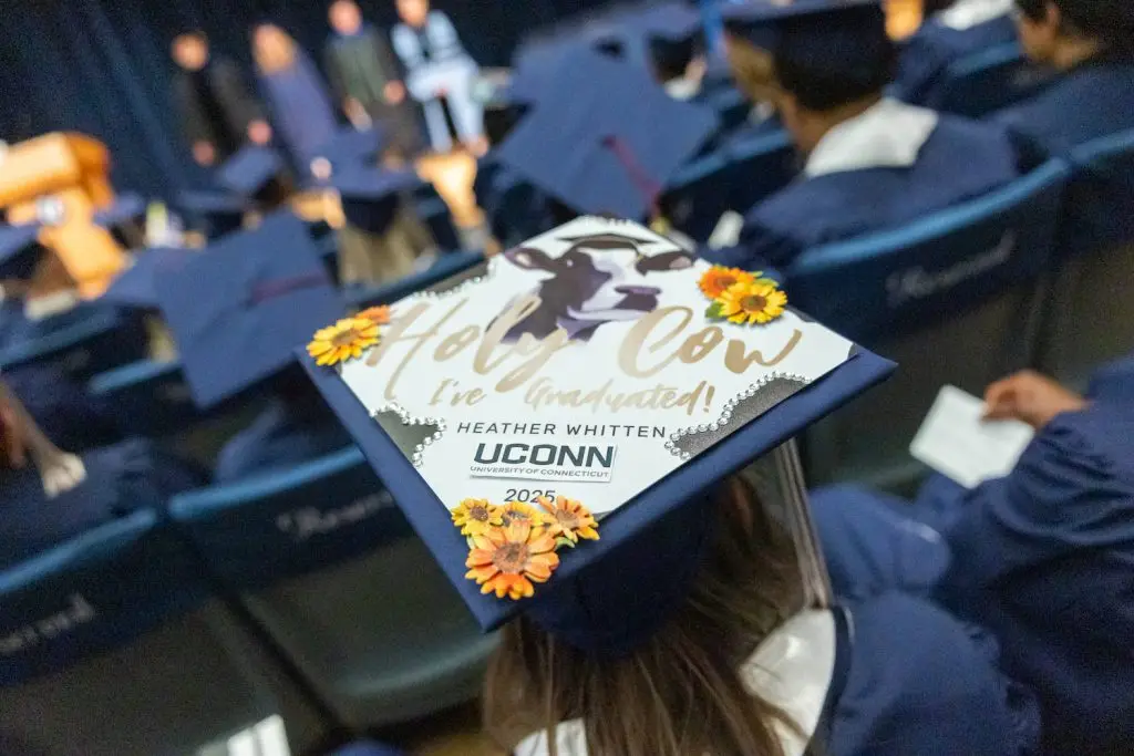 Grad cap with the words 'holy cow I graduated' on it