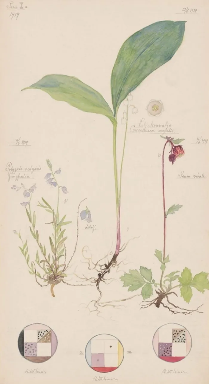 A painting features three types of plant, each accompanied below by a circular diagram with coloured squares within the circle