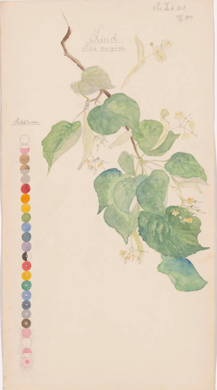 A painting of the leaves and flowers of a tree also features a long vertical line of small circles filled with colours and shapes
