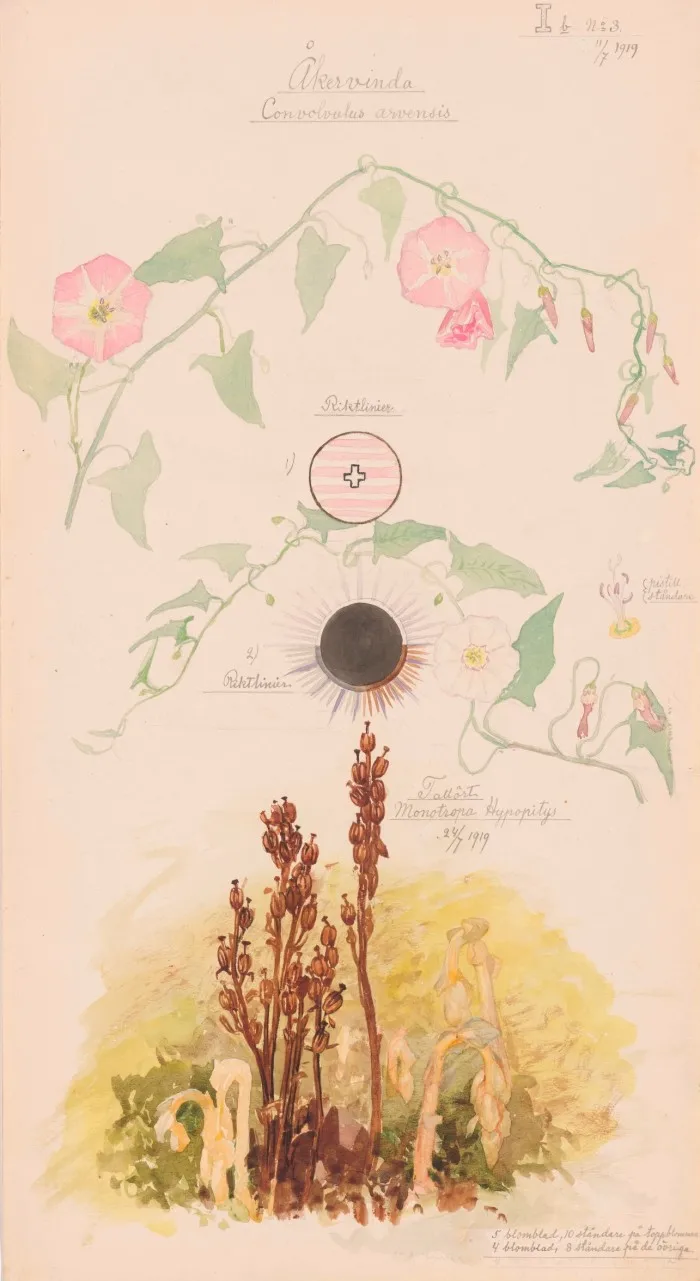 A painting shows trails of leaves, flowers that have turned to seed against a pale yellow background, and two circular symbols in the centre of the work