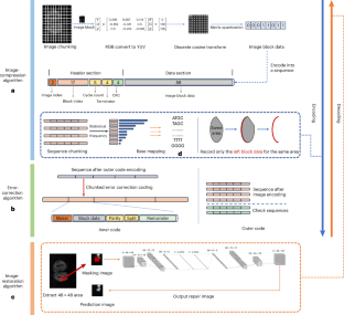 DNA data storage for biomedical images using HELIX