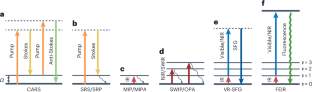 Advanced vibrational microscopes for life science