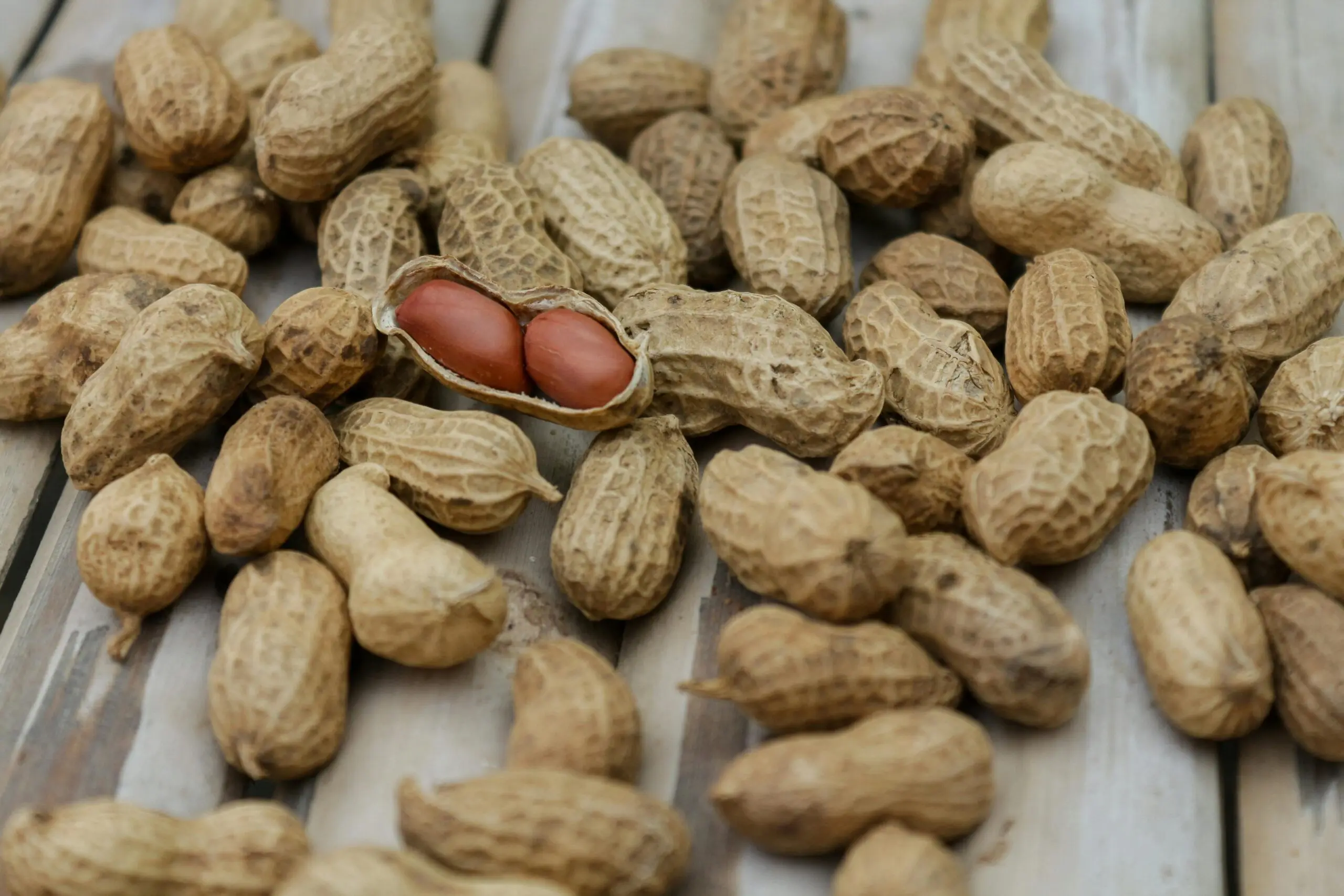 Legumes can be powerful allies in lowering cholesterol. (Pexels) Legumes can be powerful allies in lowering cholesterol. (Pexels)
