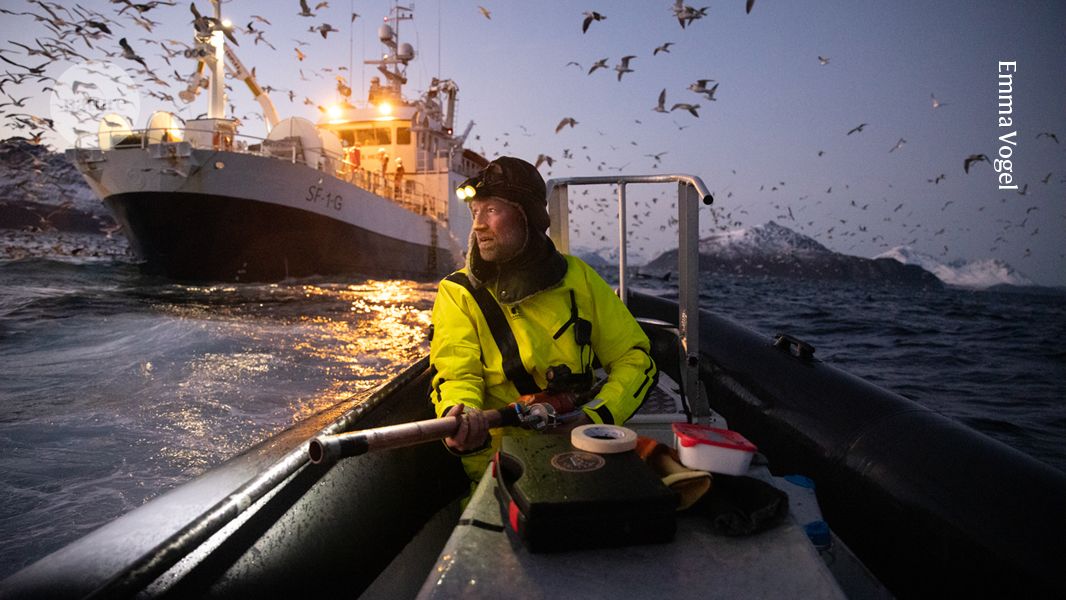 Six striking images showcase scientific fieldwork