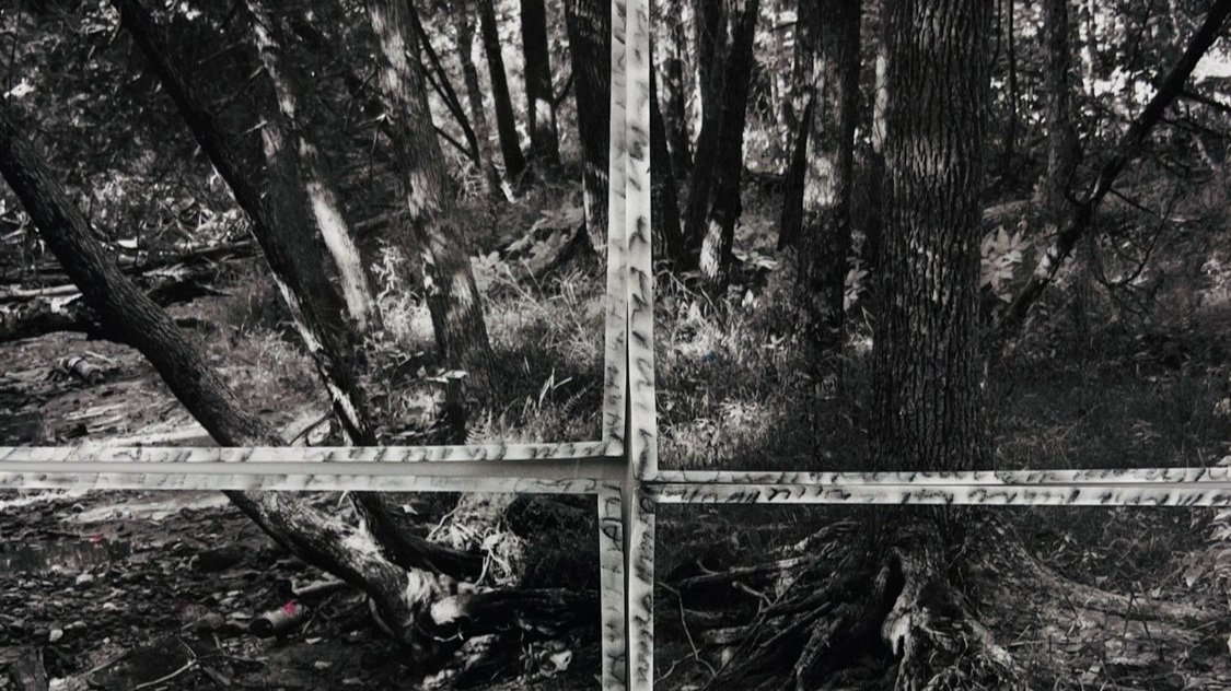 Interview: Terri Warpinski – Exploring Landscape, Memory, and Borders Through Photography