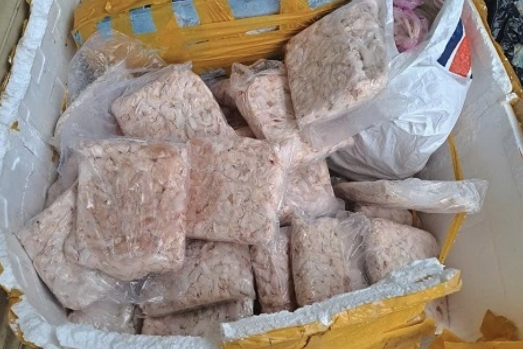 TPHCM phát hiện 50 tấn nội tạng động vật và hàng chục hộp yến sào trôi nổi