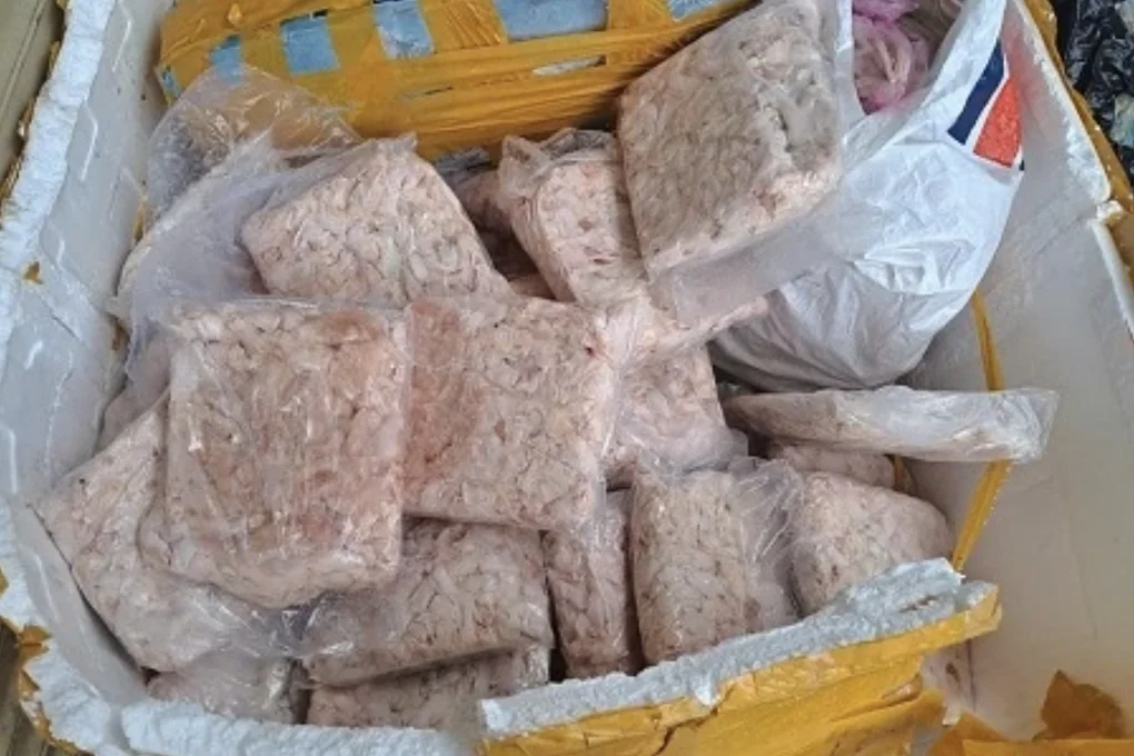 TPHCM phát hiện 50 tấn nội tạng động vật và hàng chục hộp yến sào trôi nổi - 1
