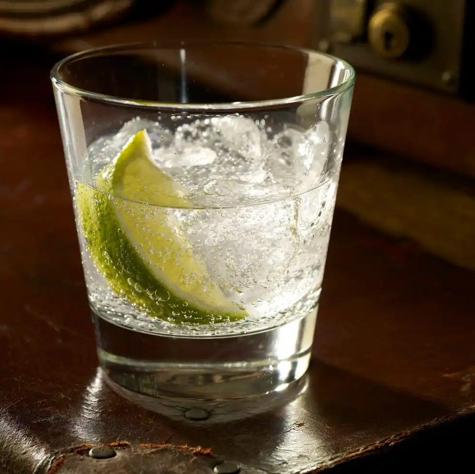 glass of gin and tonic with ice and lime