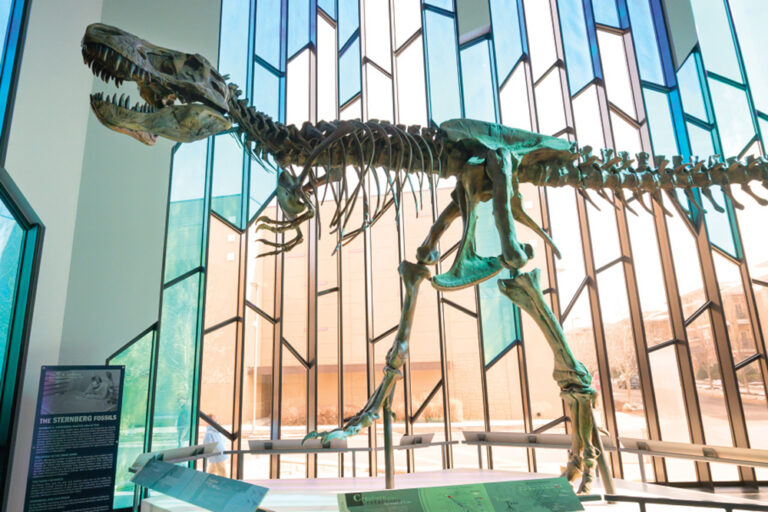 5 Must-Visit Arts & Culture Attractions in Overland Park, KS