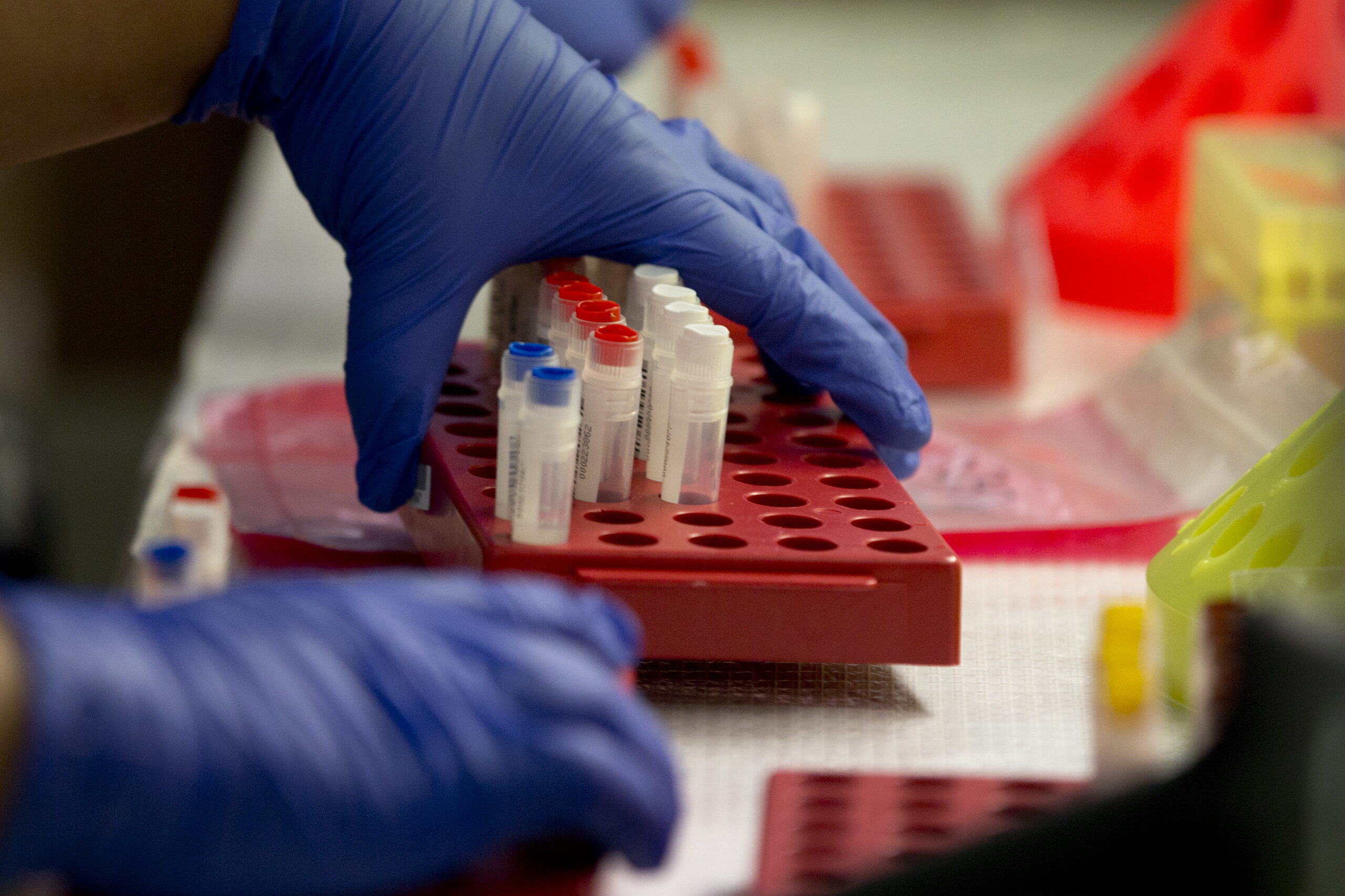 Wisconsin is at the center of emerging scientific field with answers to ‘nature vs. nurture’