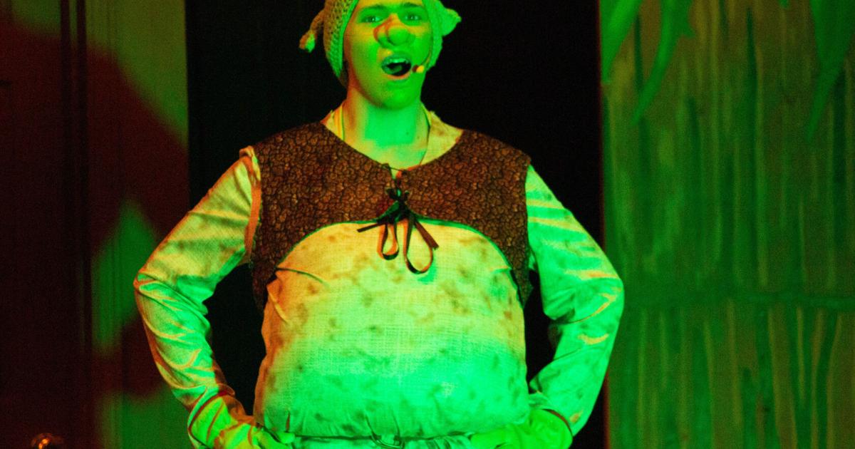 MCHS Theatre Club Performs Shrek Jr.