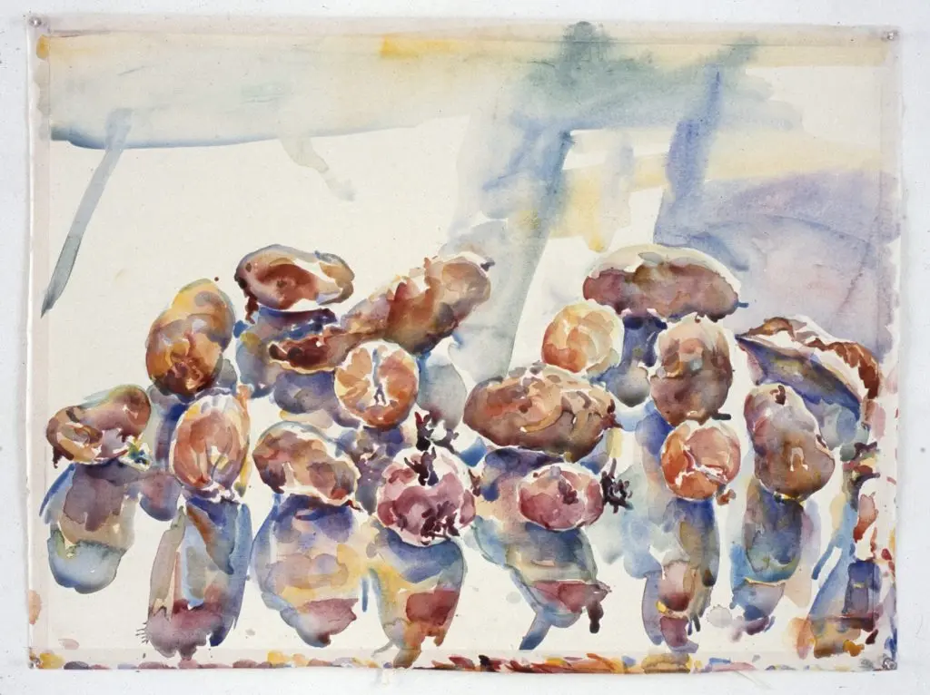 watercolor composition of slightly abstracted cap mushrooms and red onions strewn across a table-like surface