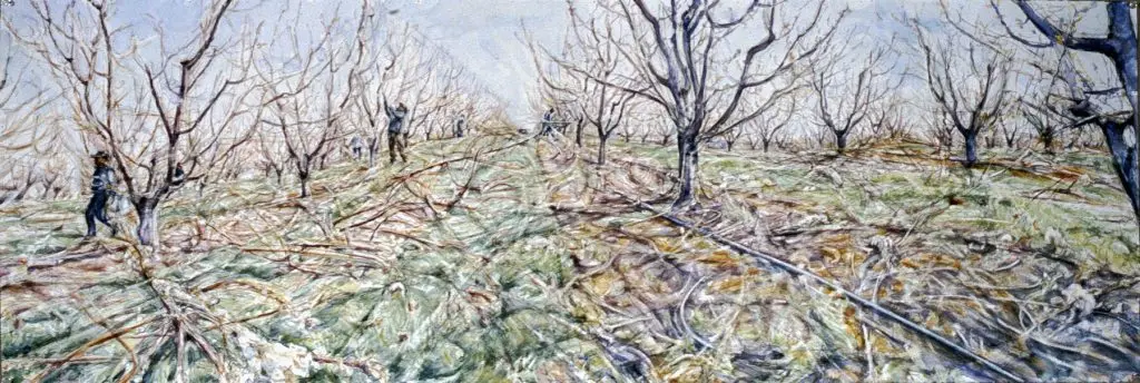 horizontal composition of bare trees with branches strewn on the ground