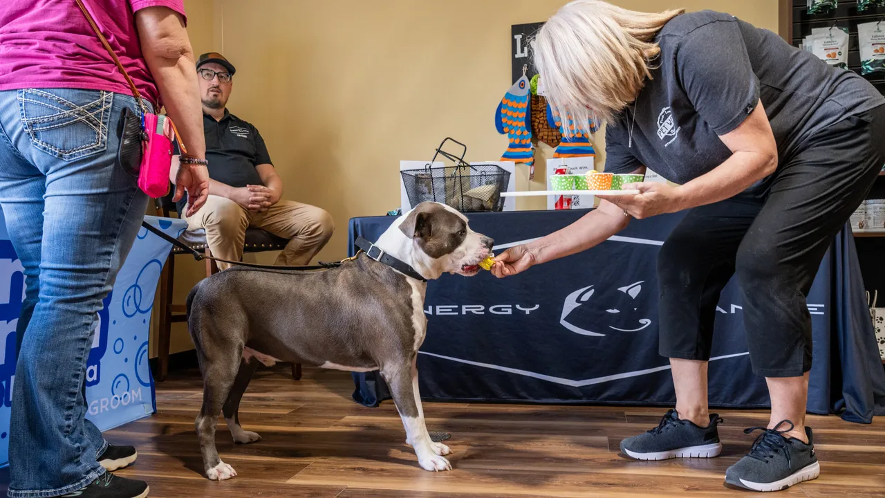 Fresh Pet Nutrition Franchise | Pet Wants Competitive Edge