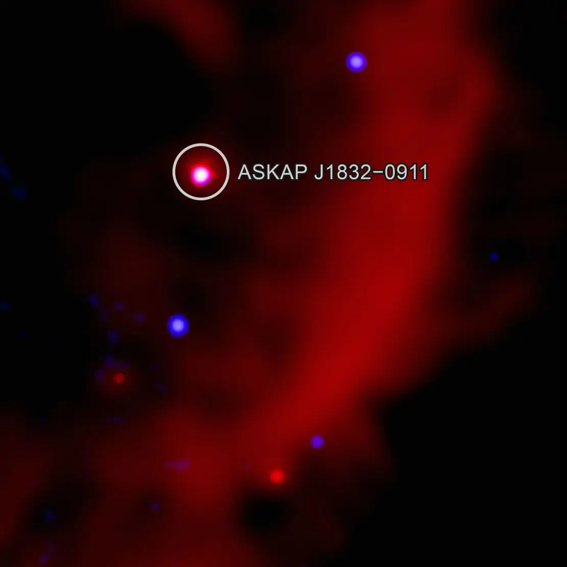 A close-up composite image of ASKAP J1832 in X-ray and radio light.