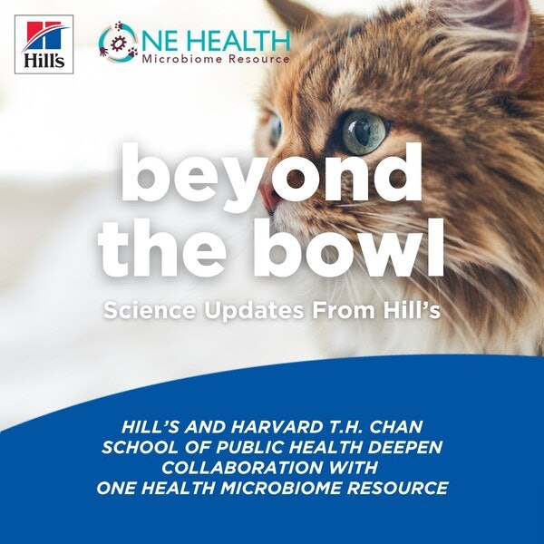 Hill’s and Harvard launch web portal to accelerate pet microbiome research