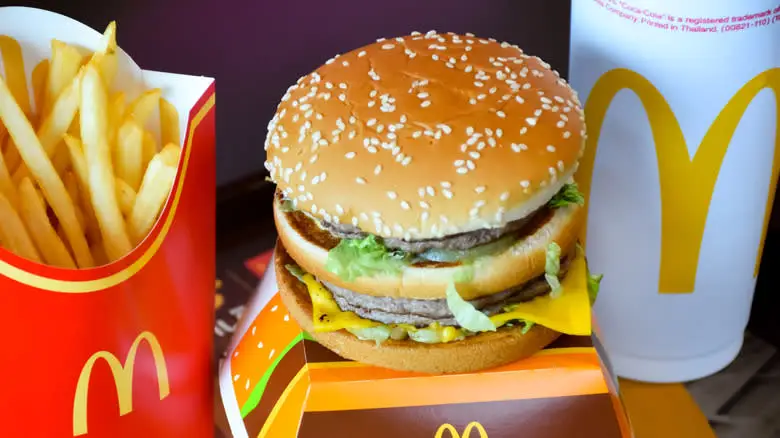 McDonald's Big Mac on container