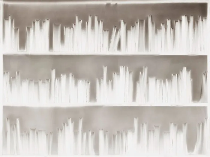 A shadow image of shelves with books 