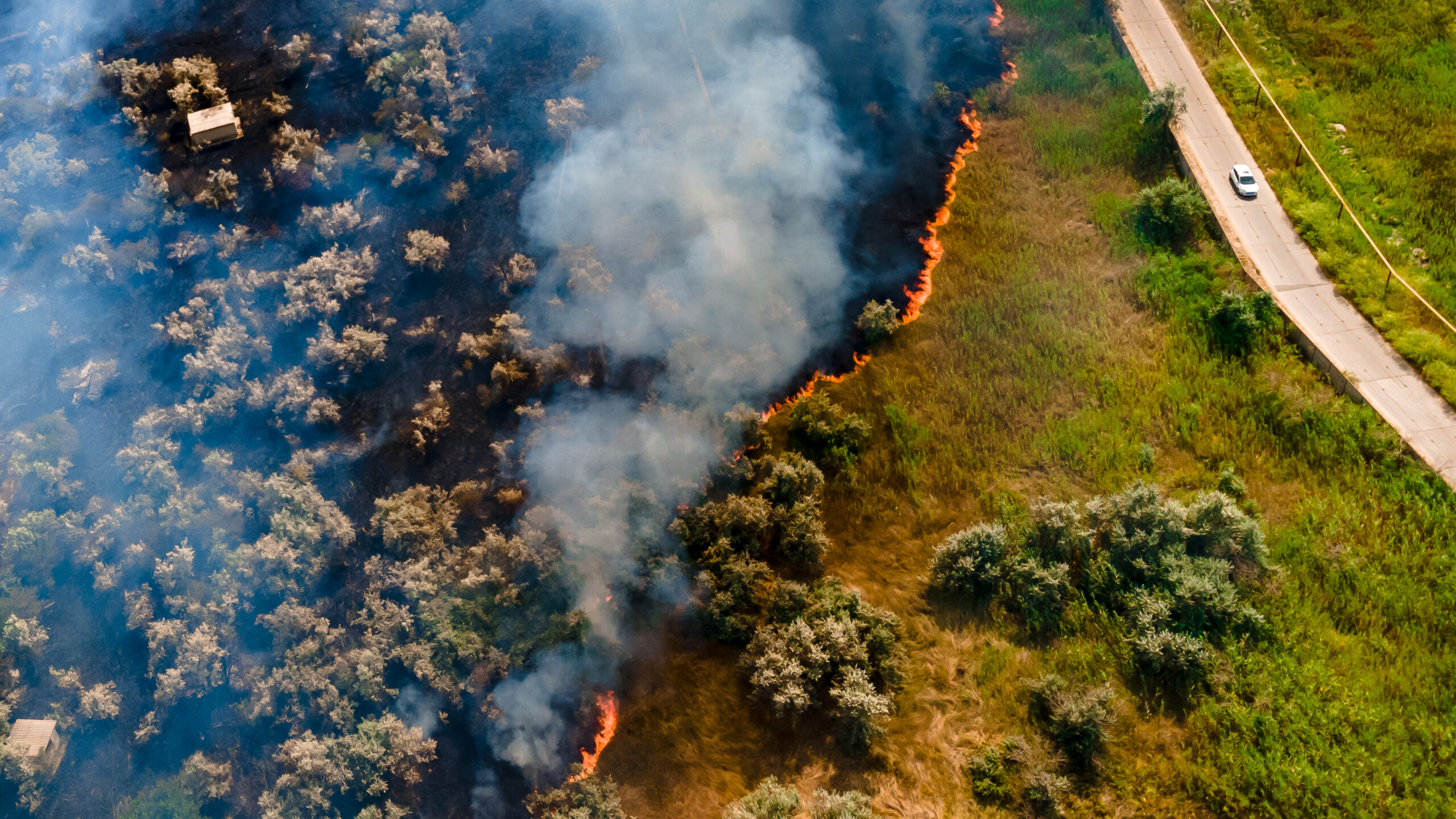 Most of Australia’s conservation efforts ignore climate risks