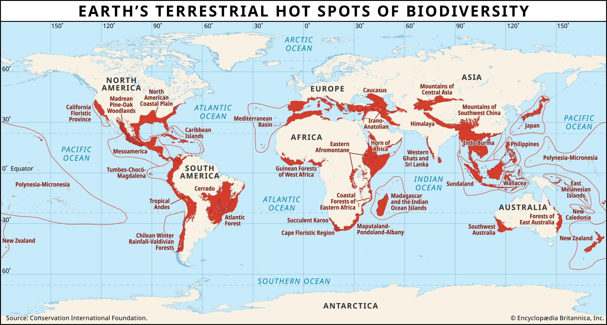Conservation | Definition, Ecology, Examples, & Facts