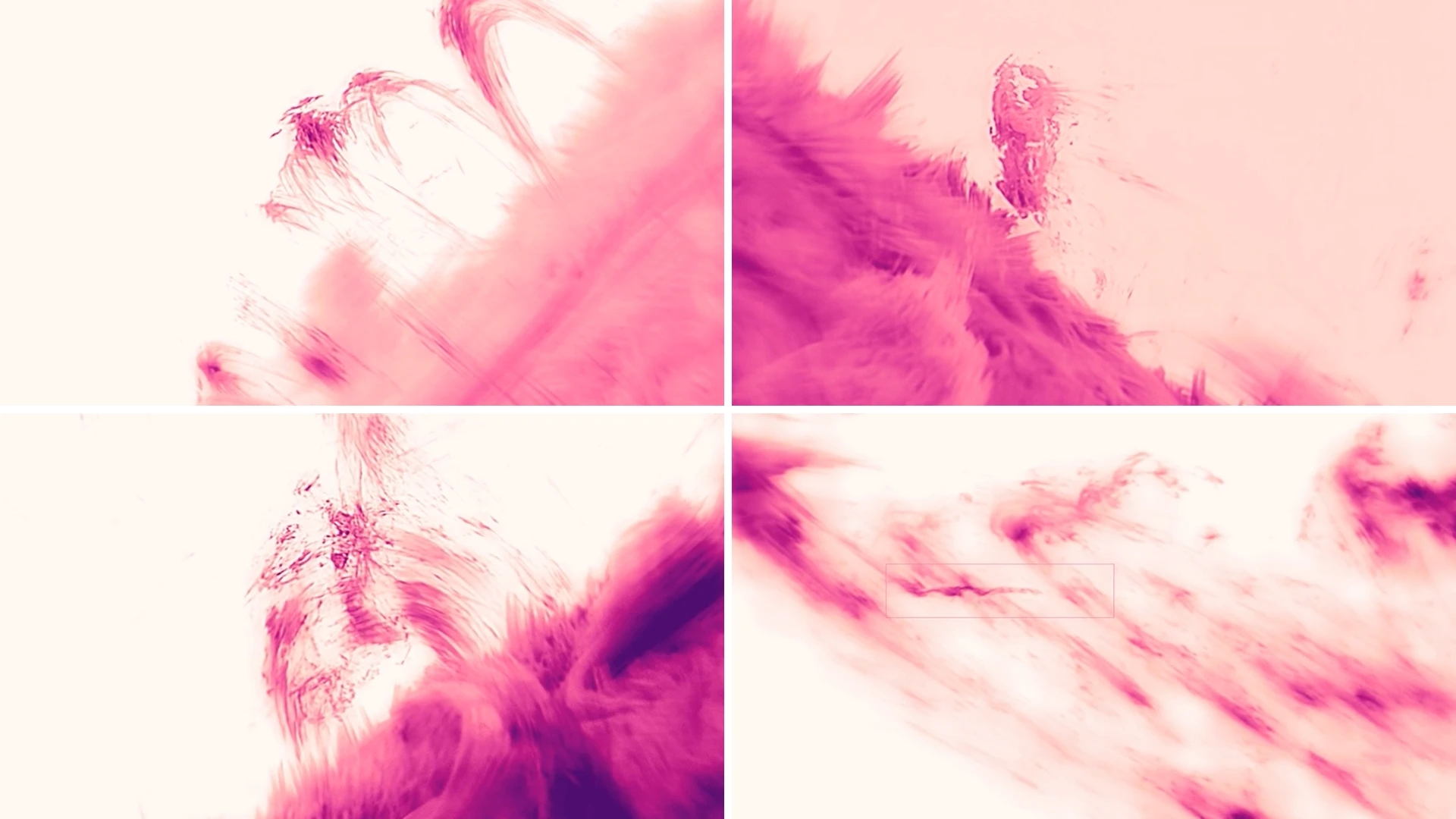 4 panel image of the sun's corona, the elusive outer atmosphere. Fluffy-looking structures are towering and twisting into strange configurations.