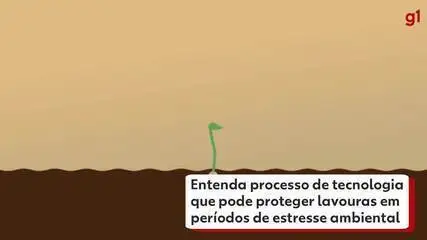 Entenda processo que encapsulou molécula para proteger lavouras