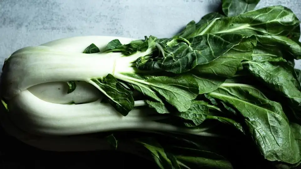 Bok Choy Unsplash