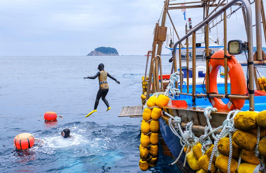 South Korean Haenyeo Divers’ Extreme Lifestyle Is Shaping Their Genetics