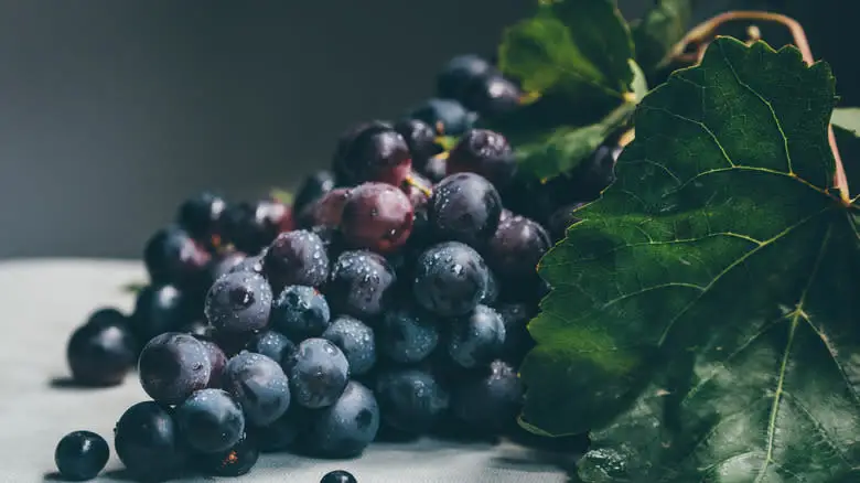 Wine grapes and leaves