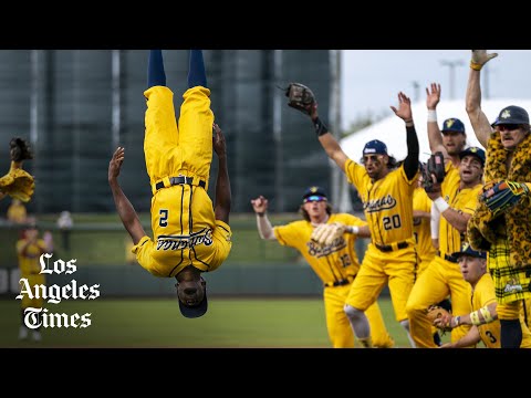 The CW will broadcast Savannah Bananas baseball madness as network leans into live sports