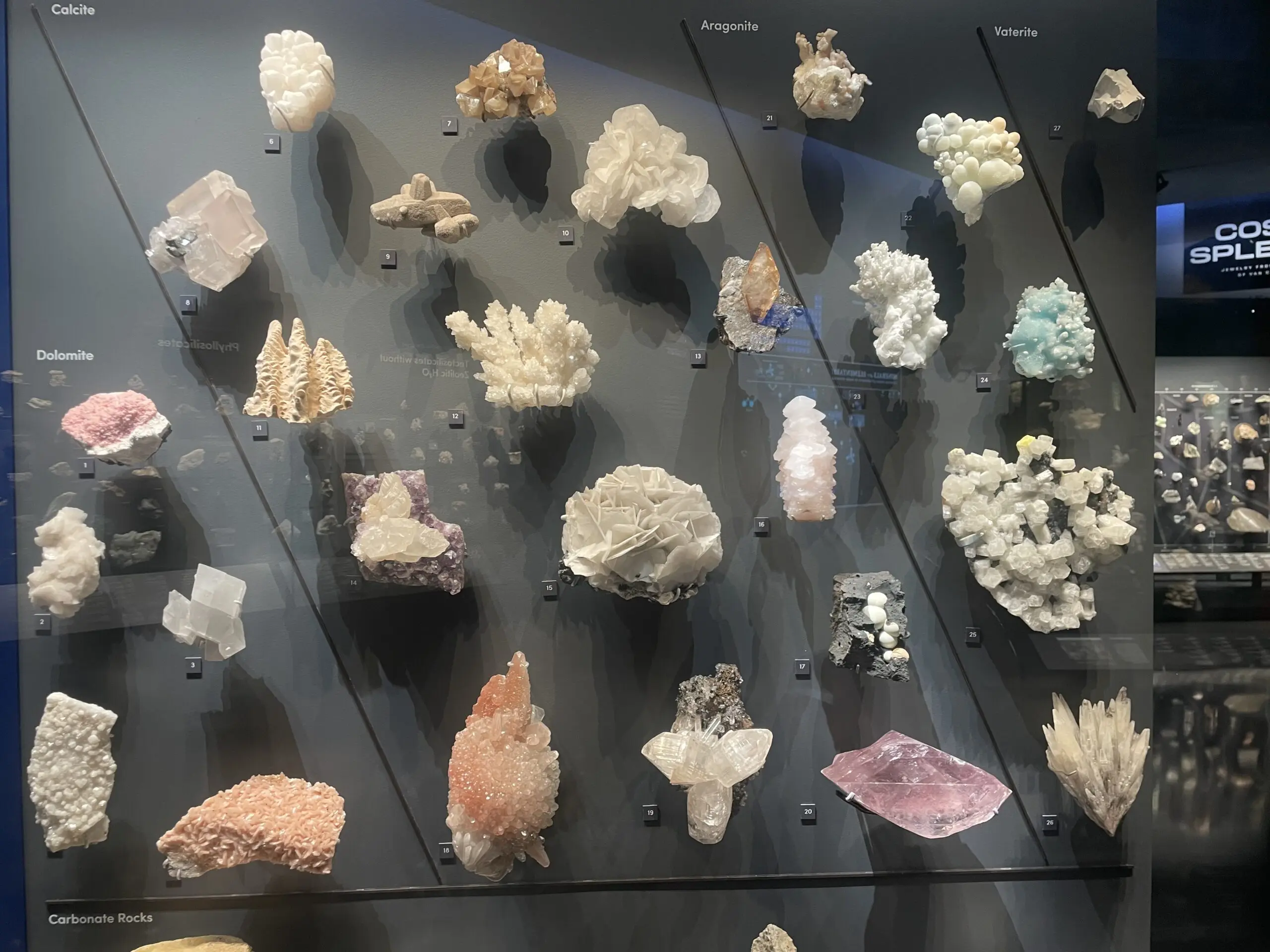 A bunch of different minerals displayed on the wall.