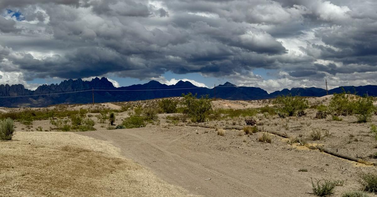 Las Cruces plans bike park to complement mountain trails