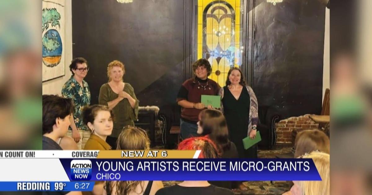 Chico Arts and Culture Micro-Grant Program for local teens