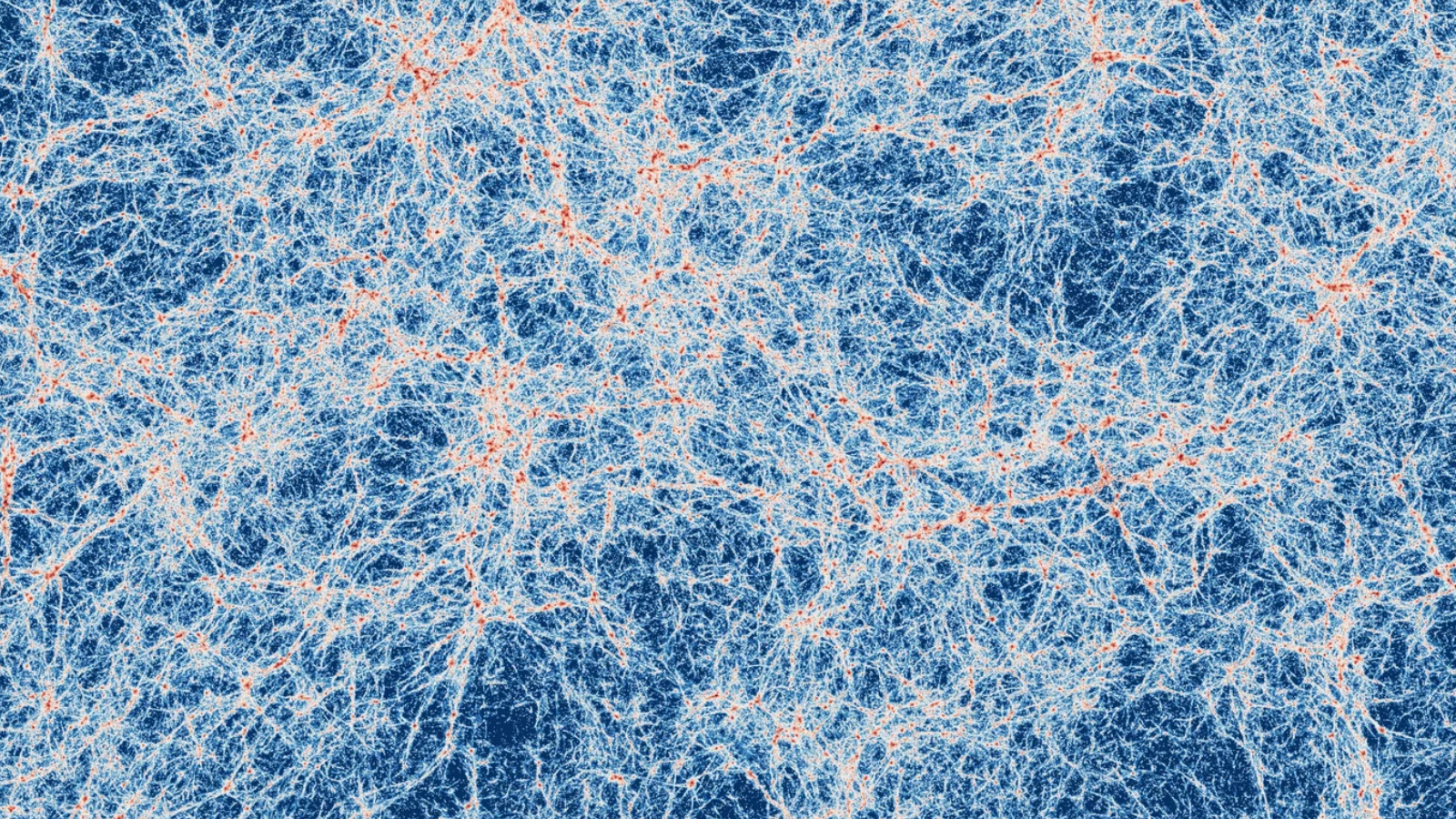Magnetic fields appear to be as old as the universe itself. What created them?