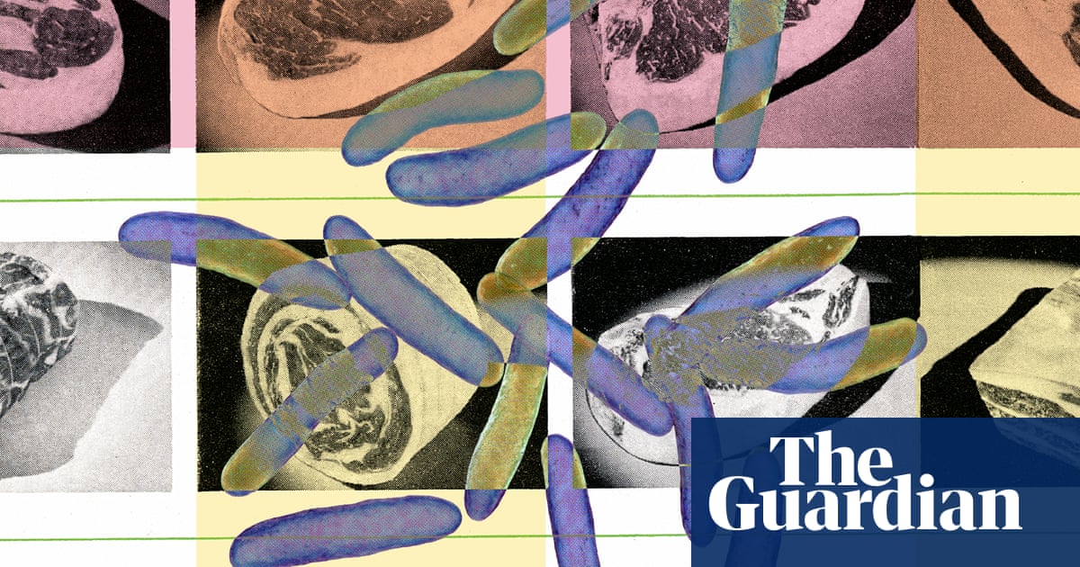 Nine ways to avoid food poisoning: microbiologists’ tips for safe, healthy eating