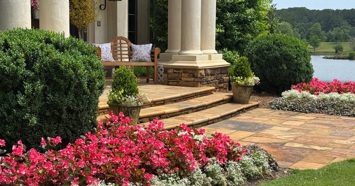 On Gardening: These Surefire begonias will bloom all season