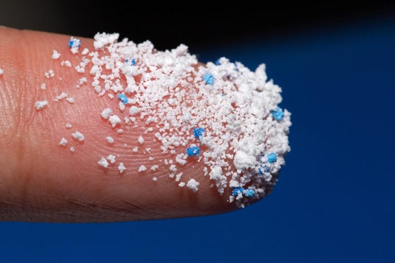Are You Eating Plastic? New Research Shows Serious Health Risks