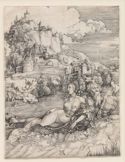 ‘Nature and Artifice’ at Dallas Museum of Art rewards a close look