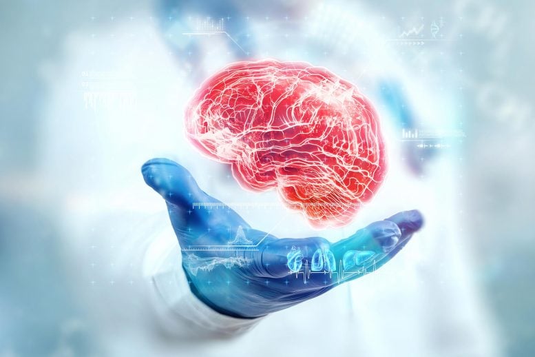 This Diet Could Reduce Your Risk of Dementia by up to 25%, New Study Reveals