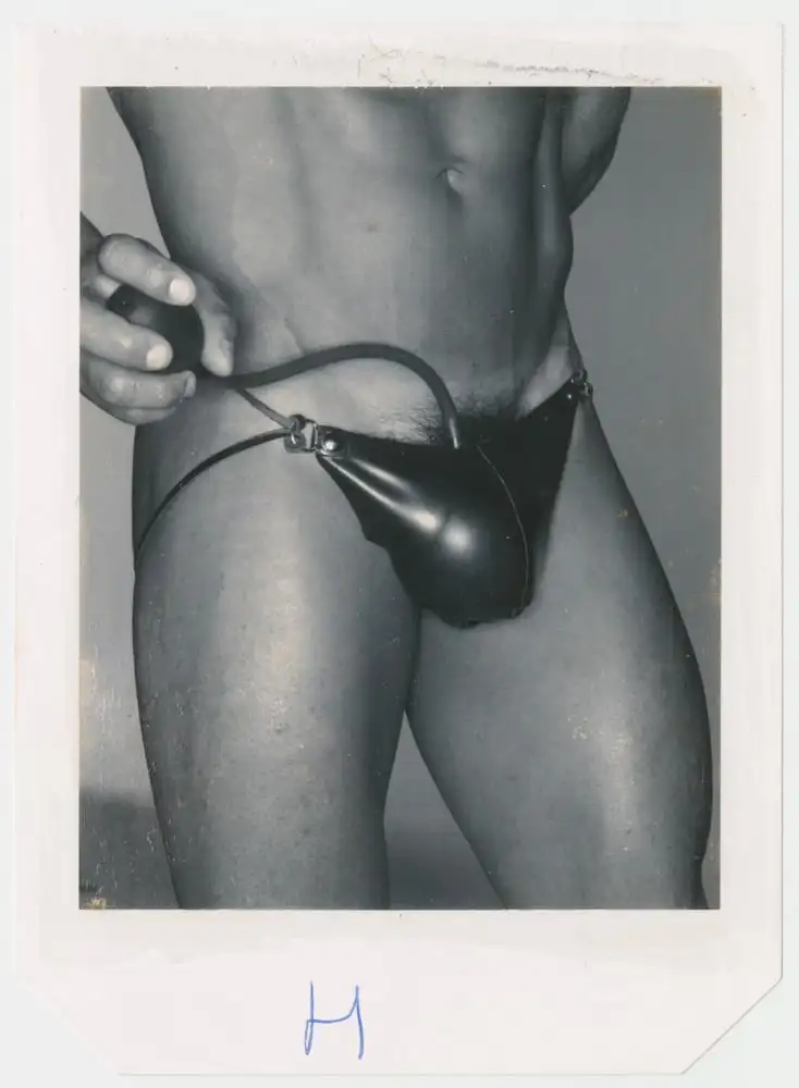 Polaroid by Donna Trope