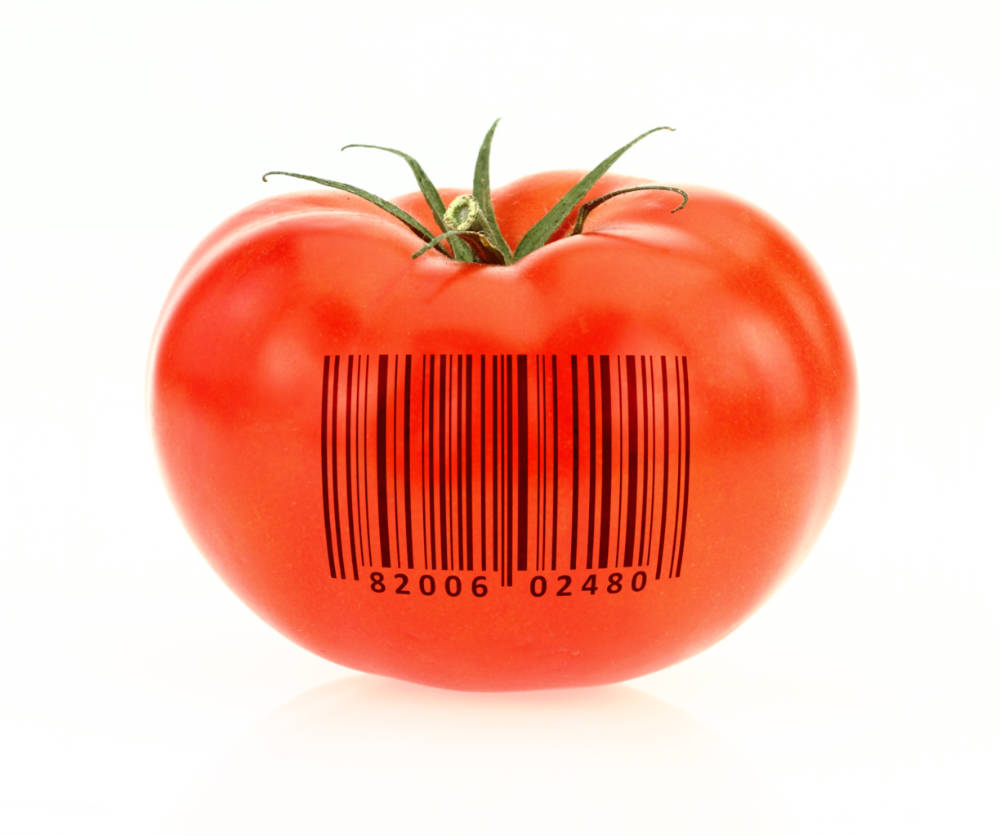 AI food delivery firm builds DNA-powered nutrition platform – Food & Drink International