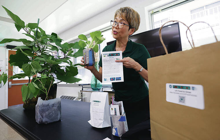Hawaii’s SNAP recipients at risk of losing nutritional benefits