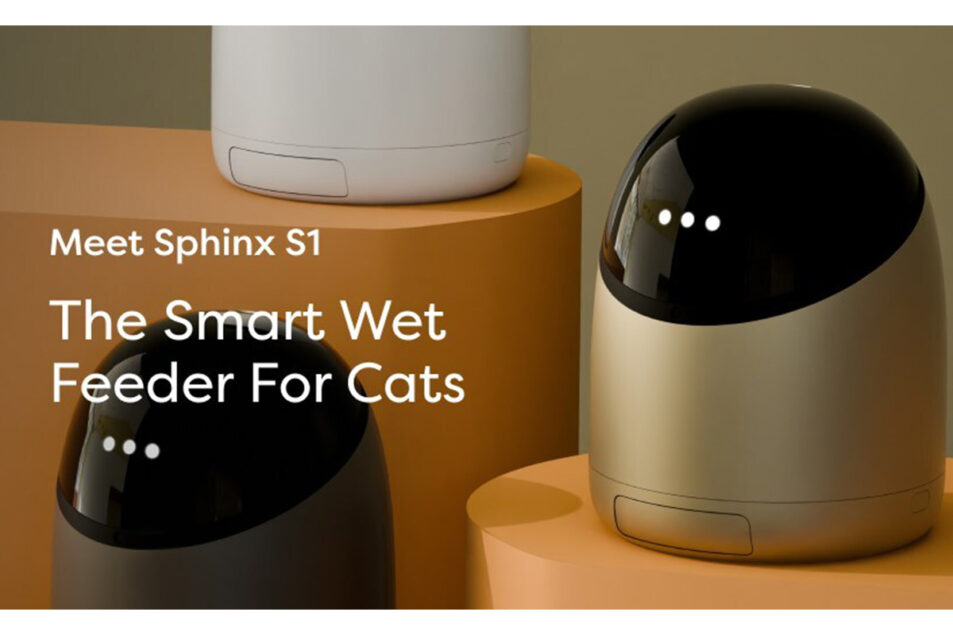 Rayne Nutrition, Savage Cat Food partner with pet tech startup