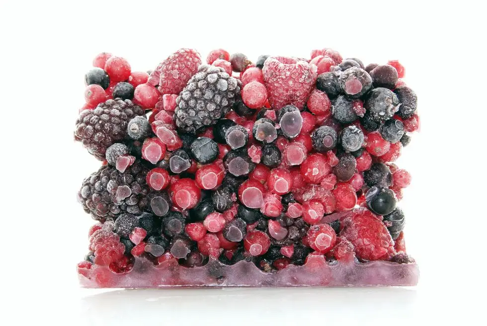 healthy frozen foods: a block of frozen berries