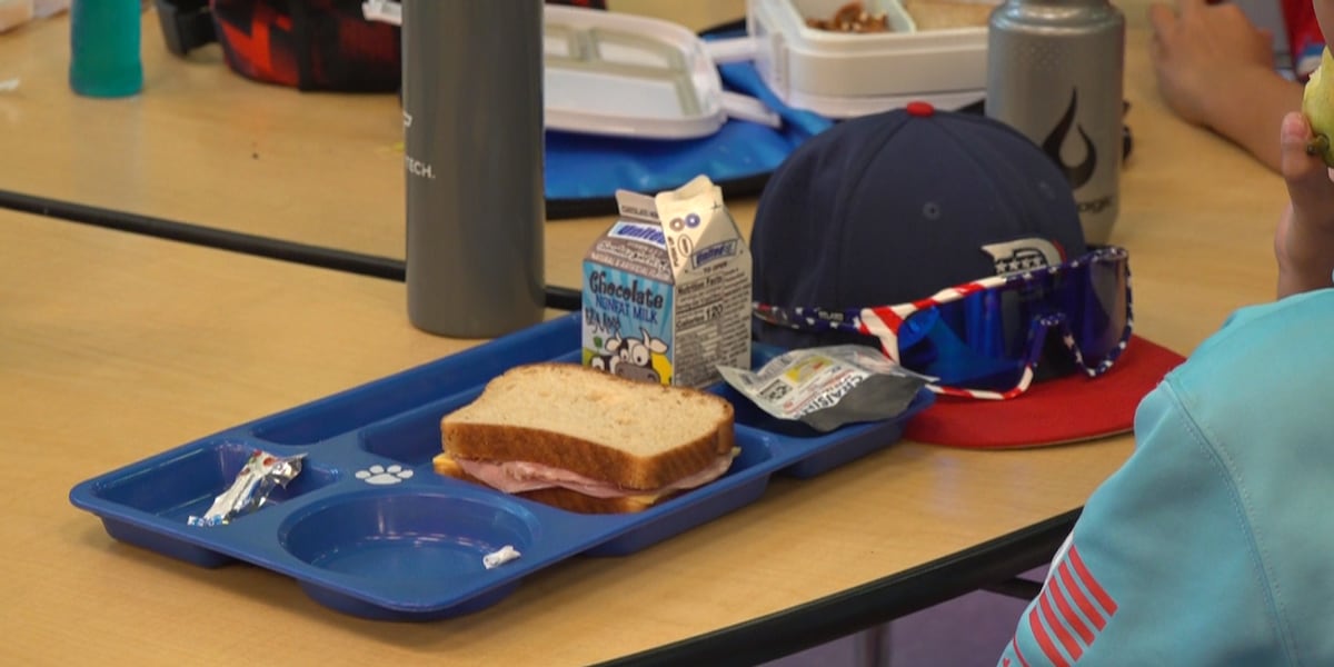 Montgomery County Public Schools offering free meals to students, families throughout the month